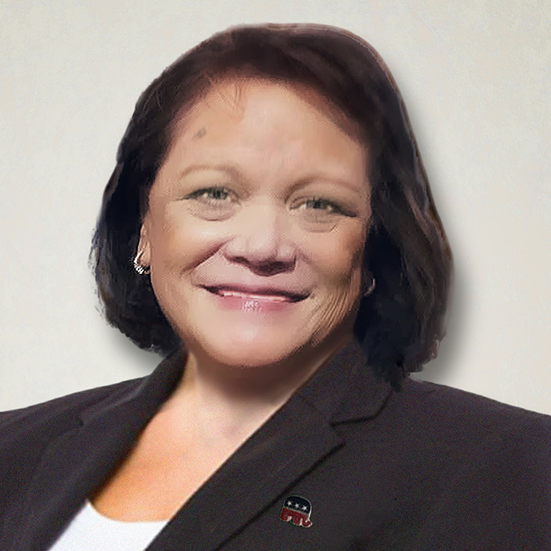 Lani Kane candidate for the California GOP Vice Chair